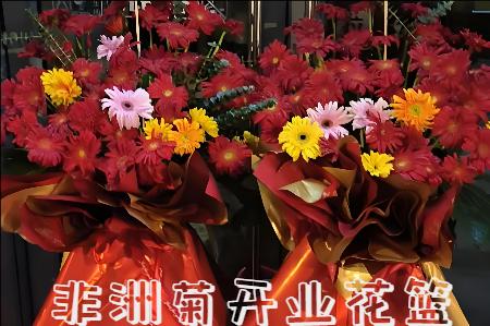 朝阳开业花篮